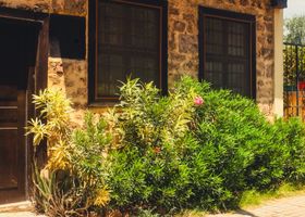 Notes on the Inset Garden